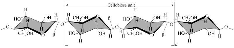 BACKGROUND 2.1.1.1 Cellulose Cellulose, the major component of lignocellulosic materials, is the most abundant renewable polysaccharide on earth.