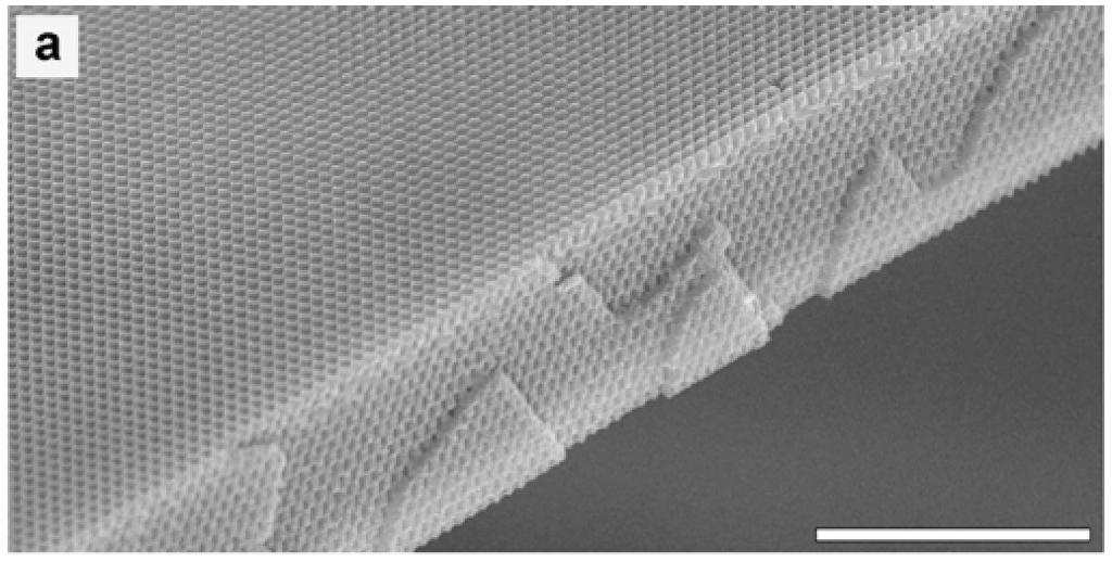Holographic Lithography 10μm huge volumes, long-range periodic, fcc lattice backfill for high