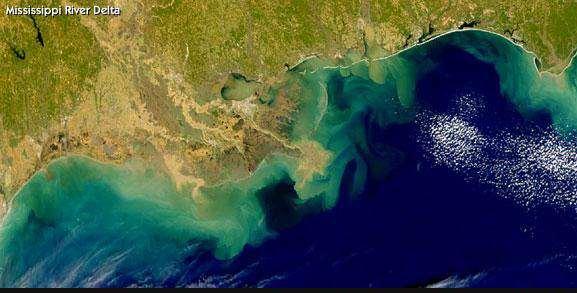 SeaWiFS image of sediments reaching the Gulf of Mexico from Mississippi River