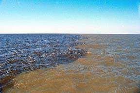 Sediment carried from rivers running into ocean waters