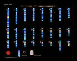 Human Genome Project In February 2001, the first draft of the complete human genome was published.