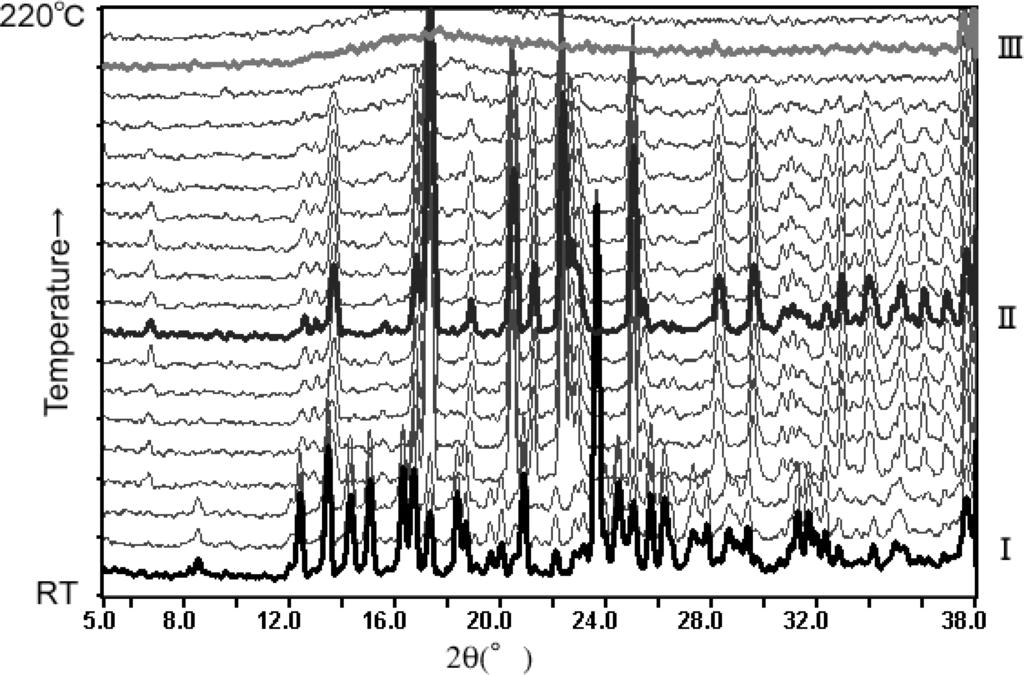 Fig. 5. Powder diffraction patterns observed during the dehydration process of trehalose dihydrate plotted as a function of temperature. Numbers represent (I) dihydrate, (II) anhydrate, (III) liquid.