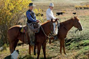Ranchers also care about the land that they keep their cattle on by managing it to reduce soil erosion,