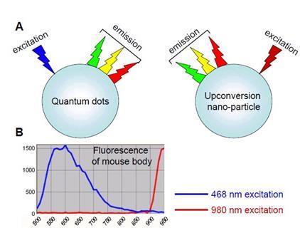 Imaging Nanoparticles