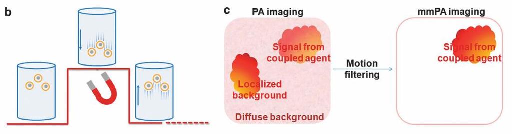 Remove Noise from Images During real-time photoacoustic (PA) data acquisition, a pulsed magnetic field is applied.