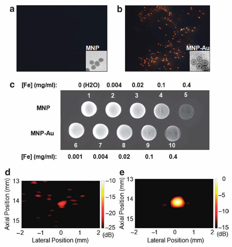 Multimodality Imaging Using MNP-gold hybrid NPs ( a, b ) Darkfield imaging of single MNPs spread on glass coverslips before and after gold nanoshell coating.