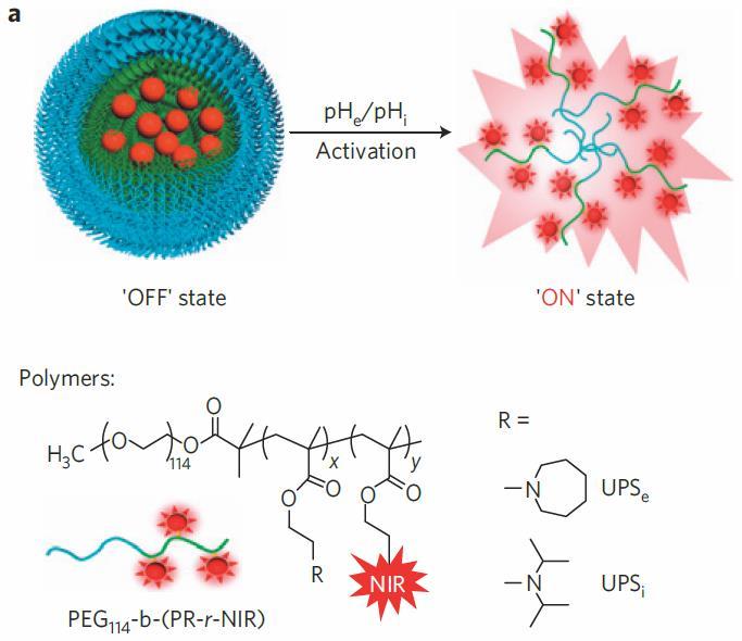 Synthesis and Characterization of UPS Nanoprobes a, Structural composition of two types of nanoprobe, UPS e and UPS i, with ph transitions at 6.9 and 6.2, respectively.