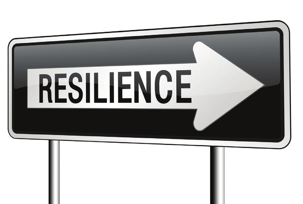 Becoming resilient LEARN about resilience 4-5 EVALUATE your NGO s resilience 7 MAKE time 11 LEAD from the front 12 ENGAGE your