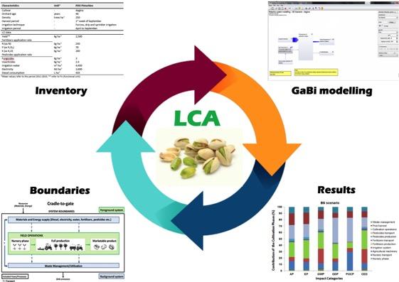 Life Cycle Analysis (LCA) Environmental Risk Assessment Emissions to air, water and soil It is the first time that a research study is focused on analyzing the life cycle of pistachio production