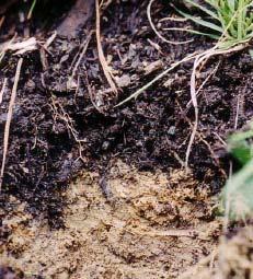 Soil Condition Measurement of soil physical properties, compaction, erosion potential Soil samples