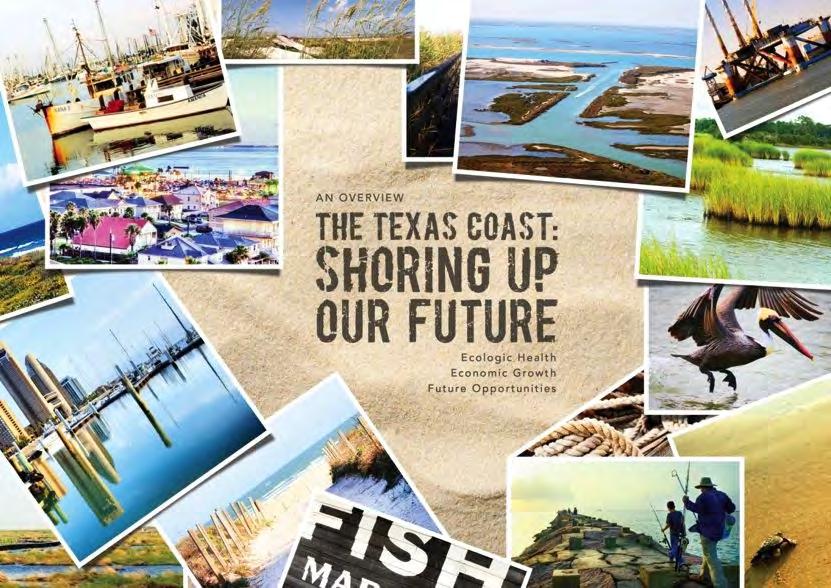 The Texas Coast: Shoring up our Future Initiated in 2012 to inform the legislature, local officials and the public on critical coastal areas and the importance of the ecologic health,