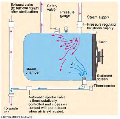 Sterilizer Basics How it Works.... A sterilizer consists of a steel chamber sealed by a charging door. Steam is introduced into the inside chamber which is designed to withstand elevated pressures.
