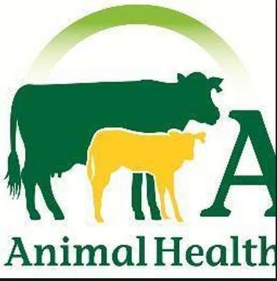 2) Improved Animal Health Reality regarding the country s health status is critical Need a collective action to address Brucellosis