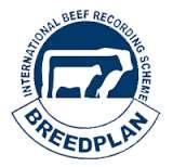 Breeding for yield and eating quality: Sheep Genetics Actively using LMY, SF and IMF data in ASBVs and Indexes
