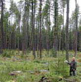 The conventional clearcutting silvicultural system removes all the trees, while partial cutting silviculture systems (seed tree, shelterwood, selection, variable
