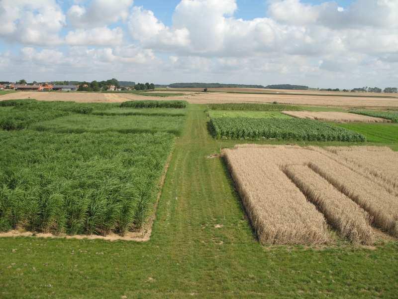 Demonstration platform on Agronomy & energy crops Set-up in 2006 Linked to INRA R&D centers Linked to the national plan REGIX : evaluation of the potential of
