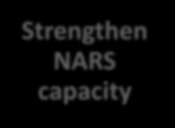 Strengthen NARS capacity
