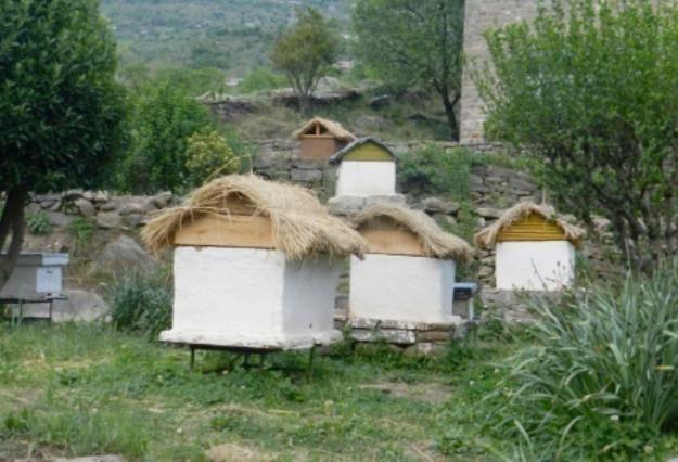 Hive innovations in Himachal Pradesh, to mimic traditional houses and