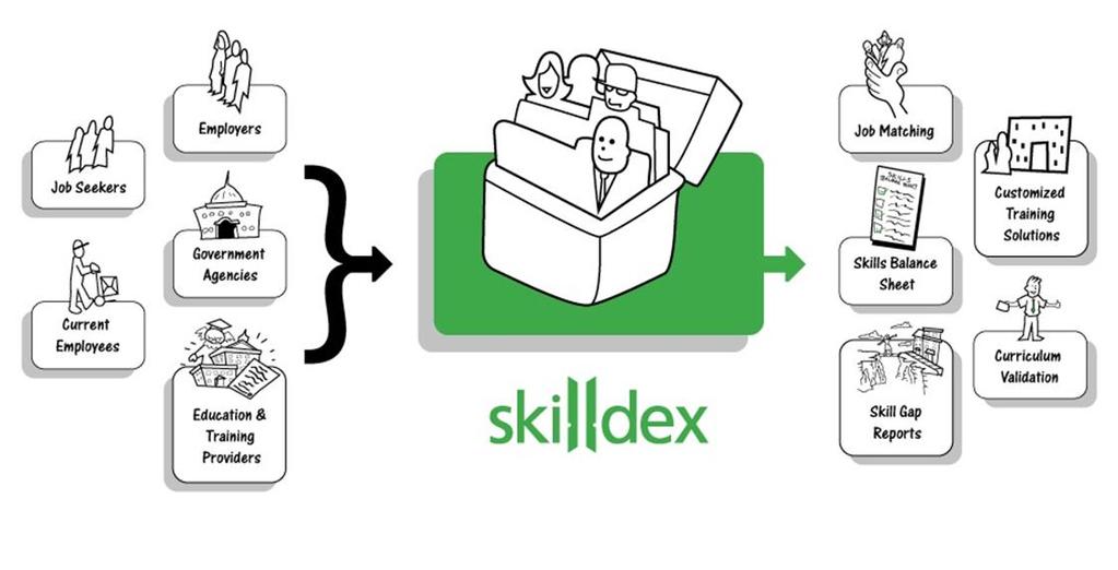 Introduction to Skilldex Skilldex is a web-based system that surveys individual skills and identifies and catalogs the skill needs of employers especially employers with a shortage of workers or a