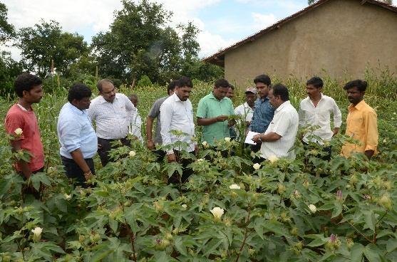 For making the cotton seed sales system more transparent and market driven, CCI has also started sale of cotton seed by way of e-auction from cotton season 2015-16 onwards.