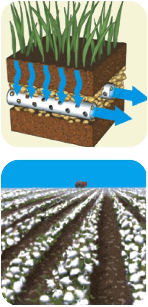 Solutions Soil Salinization Prevention Reduce irrigation Cleanup Flush soil (expensive and wastes water) Stop