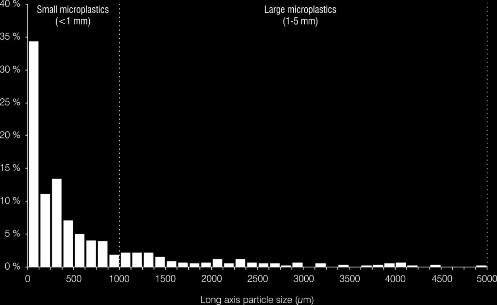 Lower limit: 50 µm Average particle size: 644 µm; D 50 : 297 µm Particle size (µm) Beads Fragments Fibres Glitter Mean 97.7 651 1302 314 Range 51.6-652 92.