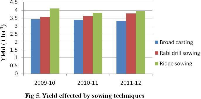 Yield (t/ha) It is evident from the results that ridge sown wheat produce significantly better yield than wheat sown by Rabi drill and broadcasting method (Fig. 5).