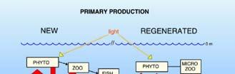 Plankton production is supported by 2 types of nitrogen: 1) new production supported by external sources of N (e.g. NO 3 and N 2 ), 2) recycled or regenerated production, sustained by recycling of N.