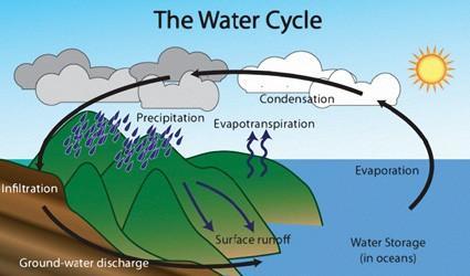 A cycle is continuous it has no beginning or end. Consider water stored in the liquid state in oceans and other bodies of water.