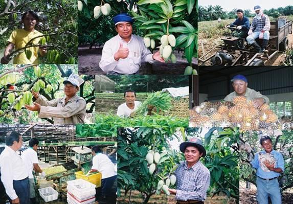 Malaysian Farm Accreditation Scheme (SALM) SALM is a national program implemented by the Department of Agriculture to recognize and accredit farms which adopts