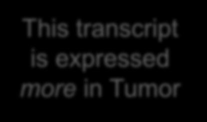 transcript is expressed less in Tumor 4
