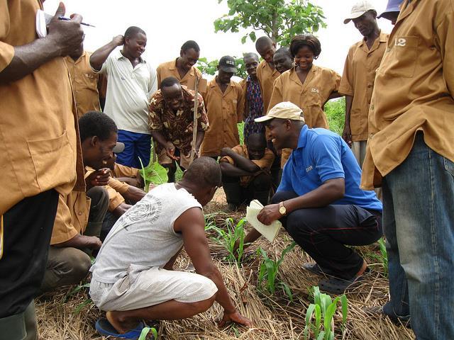 2) Along with better policies to support marginalized groups, farmers in developing countries should be given better access to tools and trainings.