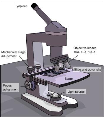Since the microscope allows precise positioning of samples,