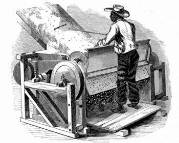 New Technology: Eli Whitney s Cotton Gin (1793) Machine removed seeds from cotton fiber Combined work of 50 men The term gin, abbreviation for engine, literally means machine.