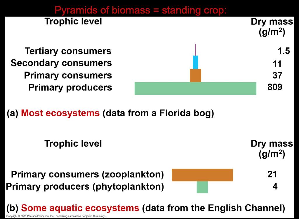 In a biomass pyramid, each tier represents the dry weight of all organisms in one trophic level.