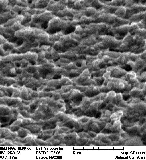 Higher magnification view in Fig. 3 (b) (a) (C) (d) Figure 2. (a) SEM micrograph showing intergranular fracture of the alloy aged for 7.