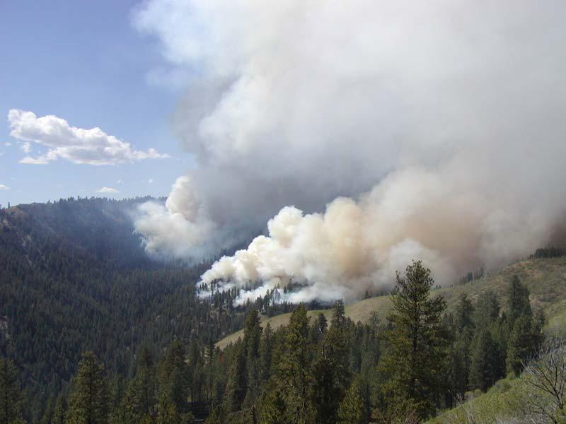 In late April 2002, after the snow had melted at the lower elevations, the District, using the aerial ignition plastic sphere dispense, aerially ignited the burn units using the strip-head fire