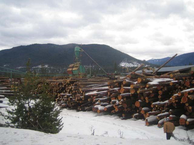 Montana s Forest Industry 2005 2009 2015 Workers 9,821 7,620 7,556 Earnings (millions) $396 $277 $320 Primary sales (millions)