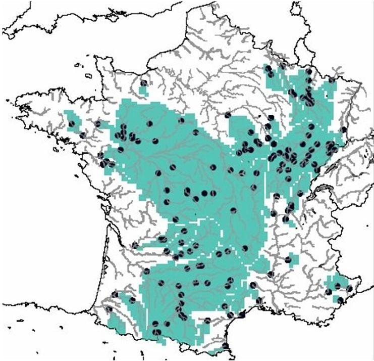 G. Thirel et al.: A streamflow assimilation system for ensemble streamflow forecasts over France 1631 Table 3.