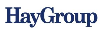 2010 Hay Group.