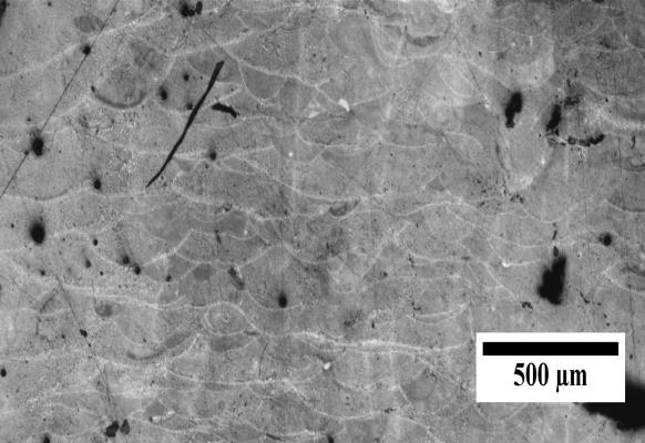 solid solution and the darker regions are Al-Si eutectics or silicon. Due to rapid solidification, SLM shows finer structures.