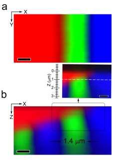 Supplementary Figure 2 Characterization of the BTO single crystal through Confocal Raman spectroscopy: Magnified Raman image shows the domain distribution at the surface by colour code (a) and in the