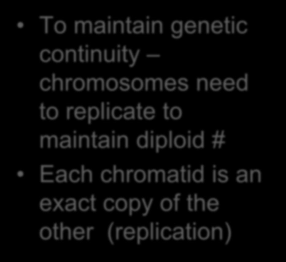 To maintain genetic continuity