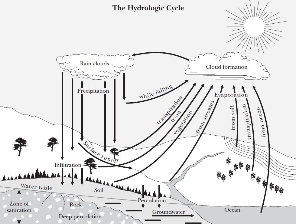 The Hydrologic Cycle From: