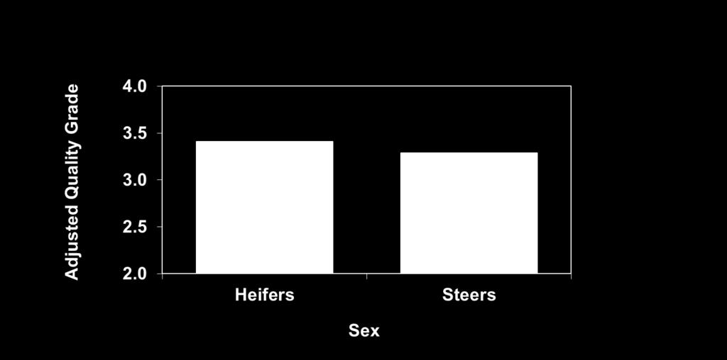 Steer vs Heifer Adjusted Quality Grade