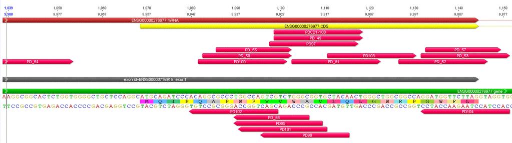 Identification of Robust grnas RNP (S.