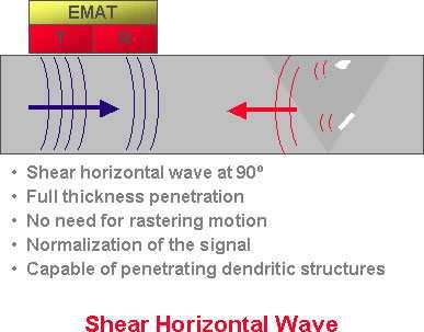 Shear Vertical (SV) and Shear Horizontal (SH) both have particle vibrations perpendicular to the wave direction.