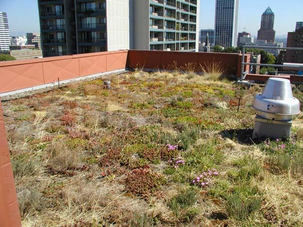 Recent results showing green roof runoff