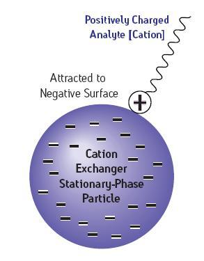 Cation Exchange: Strong Capture for Charged Bases +