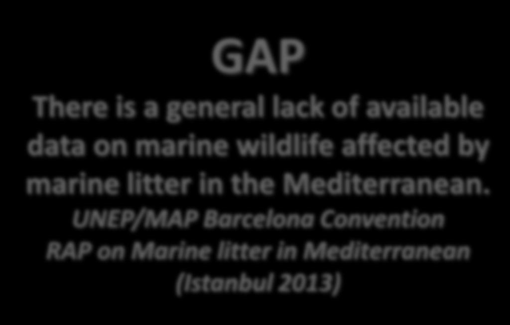 GPA and the Regional Seas Programme of UNEP; (11) the Basel